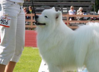 Jäähelmen Prince Of Snow RYP3 Limingassa. Kuva Elina Vuori