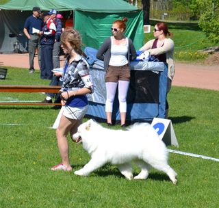 Sanna ja Lili (Jäähelmen Ultra Chic) Kemiössä 26.5.2012.