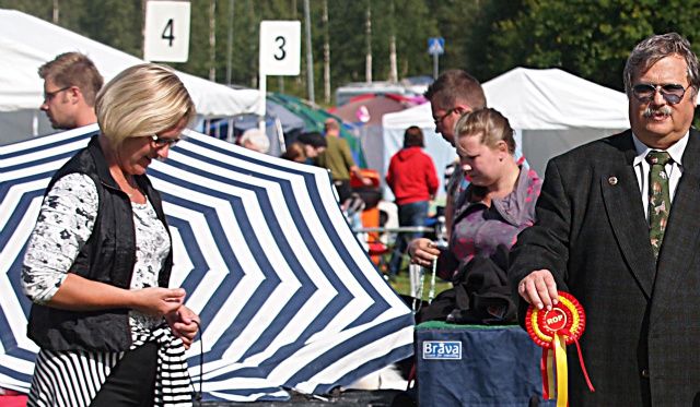 Jäähelmen Snow Star ROP, tuomari László Erdõs ja Smiling Snowball Miss Rosemary VSP Tervakoskella. Kuva Tuija Johansson.