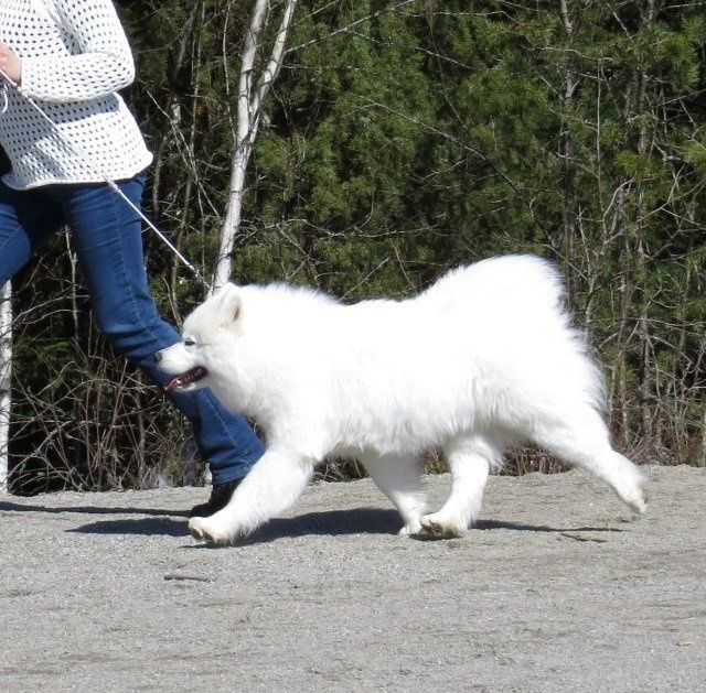 Hallan liikuntaa, kuva jaana Jyläntö.