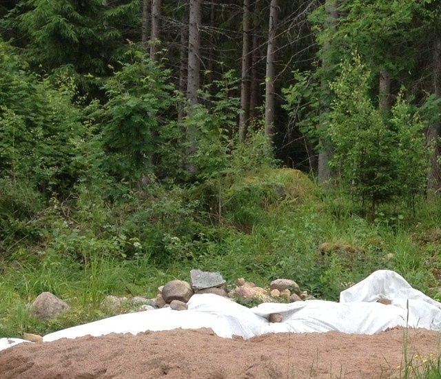 Rölli, Jäähelmen Another Hero omassa kodissaan muuttopäivänä. Kuva Minna Martiskainen.