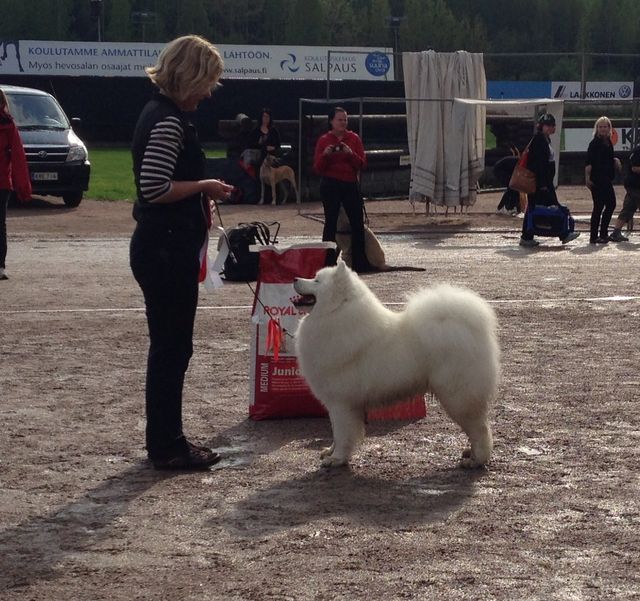 Bonzo RYP1 Lahdessa 19.5.2013. Kuva Karoliina Saarikoski.