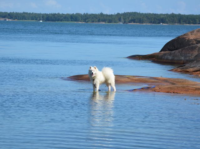 Maikki mökkirannassa.