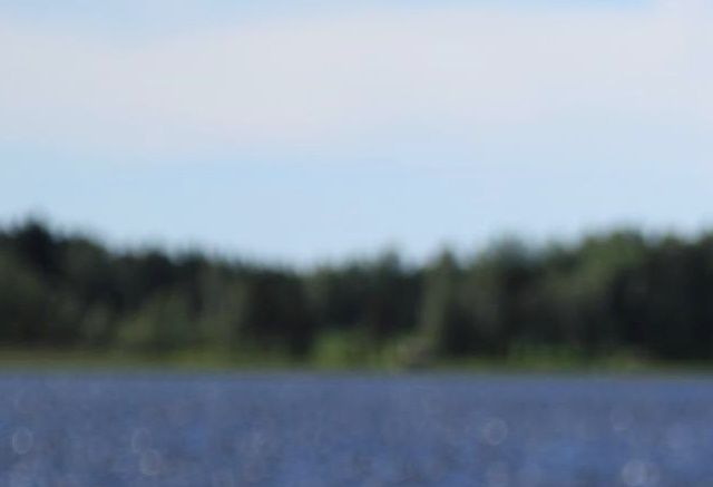 Jäähelmen Iki-Iloinen, Nuuka. Kuva Teemu Hiltunen.