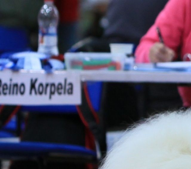 Jäähelmen Baltic Breeze, Bonzo Seinäjoella. Kuva teemu Hiltunen.