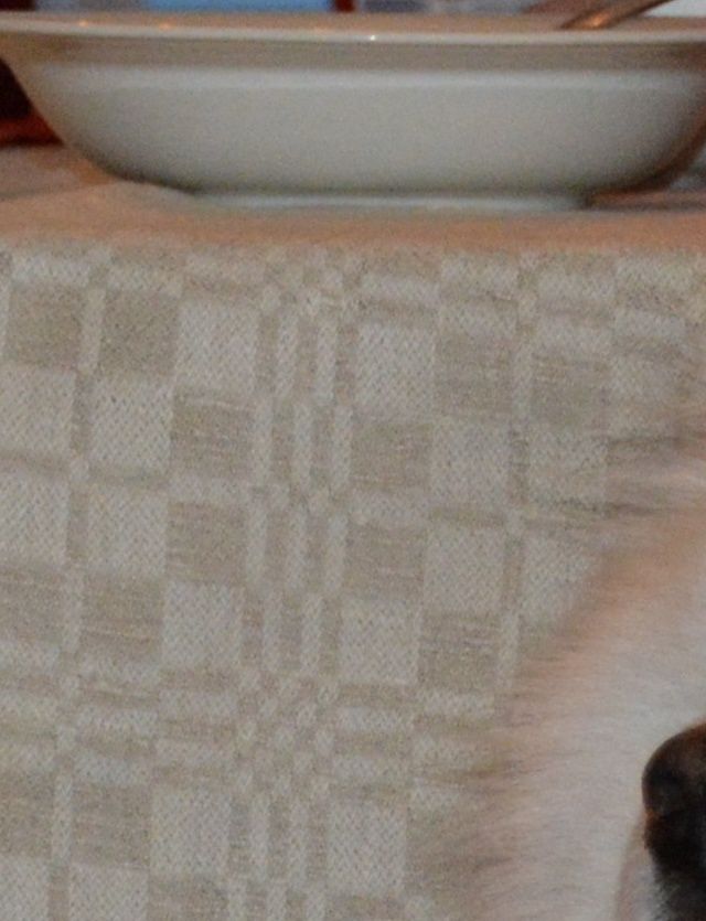 Bonzo.
