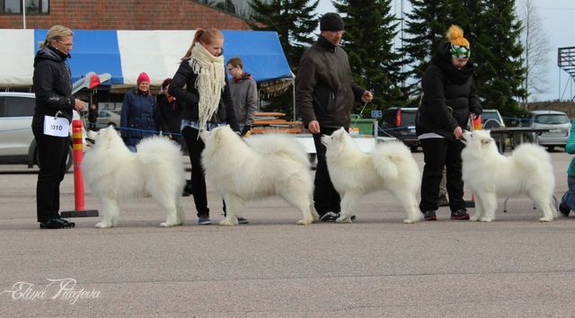 Jäähelmen kasvattajaryhmä BIS3 Lahdessa 1.5.2015.