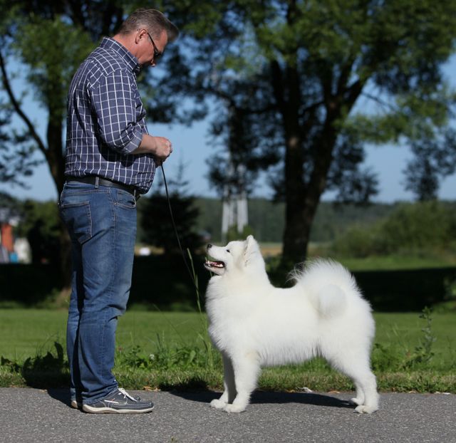 Severi poseeraa hienosti. Kuva Teemu Hiltunen.