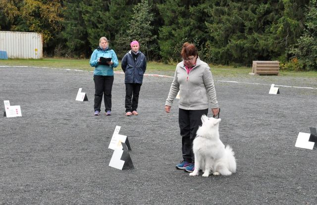 Oona rally-tokokisoissa. Kuva Riitta Yli-Tuomi.