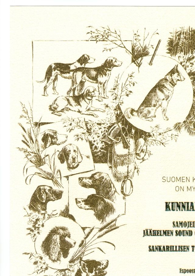 Bonon kunniamaininta.