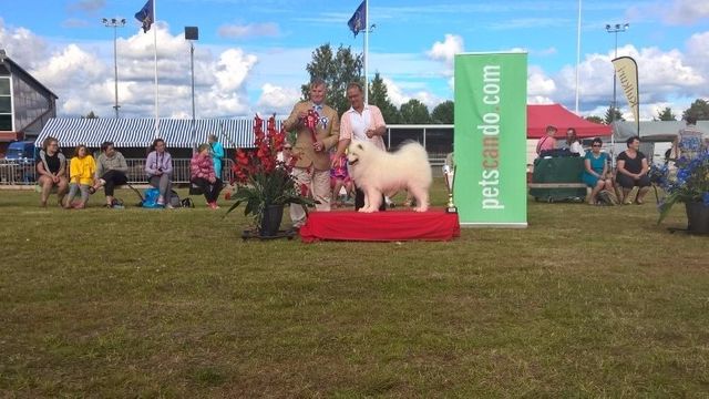 Jäähelmen Snow Star, Zero BIS1-veteraani Porissa 31.7.2016.