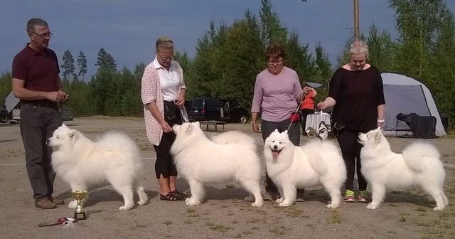 Jäähelmen kasvattajaryhmä BIS1 Ruovedellä. Kuva Jaana Porkka.