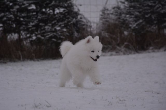 Täältä tullaan!