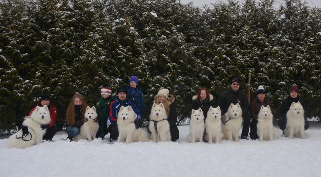 Koko porukka, vasemmalta Joda, Taika, Yoda, Paavo, Nox, Peppi-mamma, Remu, Nana ja Kusti-isukki. 