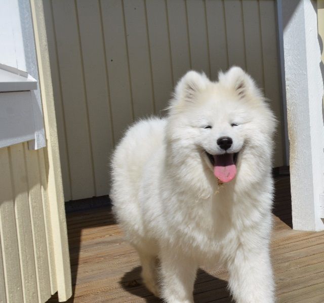 Hipulla on aina vauhti päällä ja suussa jotain :).