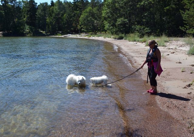 Rannalla kävelemässä veneretkellä.