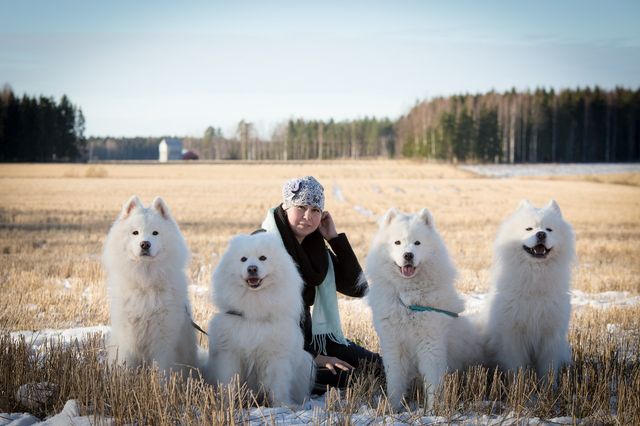 Karoliina ja pojat, vasemmalta Diego, Ninjo, Blaze ja Tikru. Kuva Heidi Lahdelma.