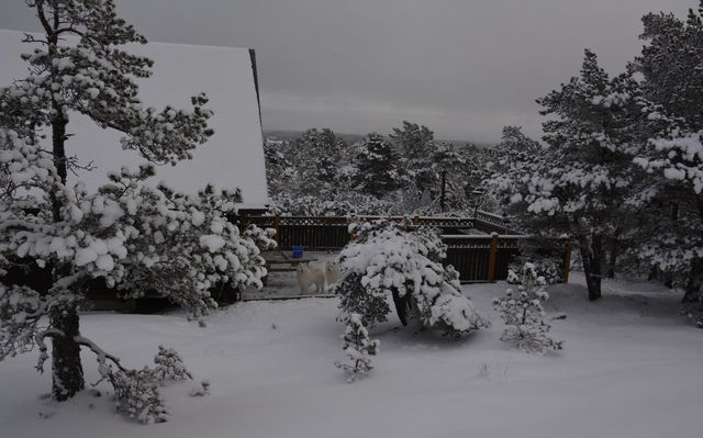 Mökki talvimaisemissa. Saaristossa on harvoin näin paljon lunta tai yleensäkään lunta ja pakkasta. Terassilla näkyy Hippu ja Helmeri.