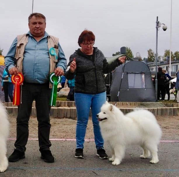 Jäähelmen Keep on Rocking, Nana, VSP SERT ja tuore Suomen Muotovalio! Kuva Tanja Pehkonen.