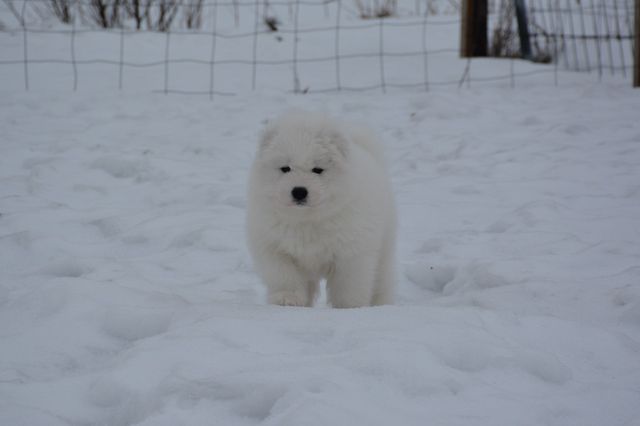 Pikkuinen suuressa maailmassa.