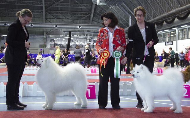 ROP Jäähelmen Hole In One, VSP Agrarium Awendela Adsila  Lahdessa. Kuva Teemu Hiltunen.