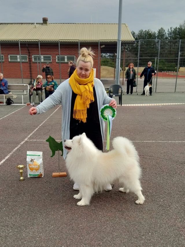 Jäähelmen Lucky Boy, Bondy Harjavallassa. Kuva Susanna Mustonen.