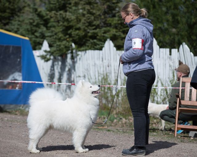 Stella ROP-pentu Kouvolassa. Kuva Teemu Hiltunen.