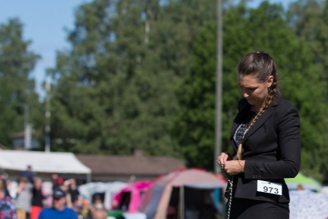 Jäähelmen Lucky Lady, Taiga VSP-veteraani ja Ikiliikkujan Storm Shadows O'Solo ROP-veteraani. Kuva Teemu Hiltunen.