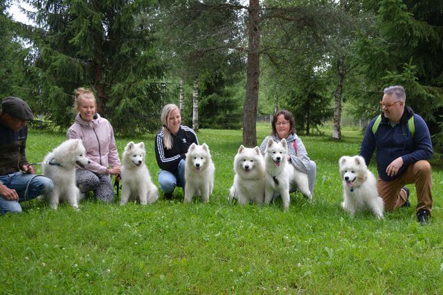 Lorun pentuja tapaamisessa Nurmijärvellä. Vasemmalta: Tuisku, Ilo, Rambo, Halla-mummi, Loru-äiti ja Luka omistajineen :).