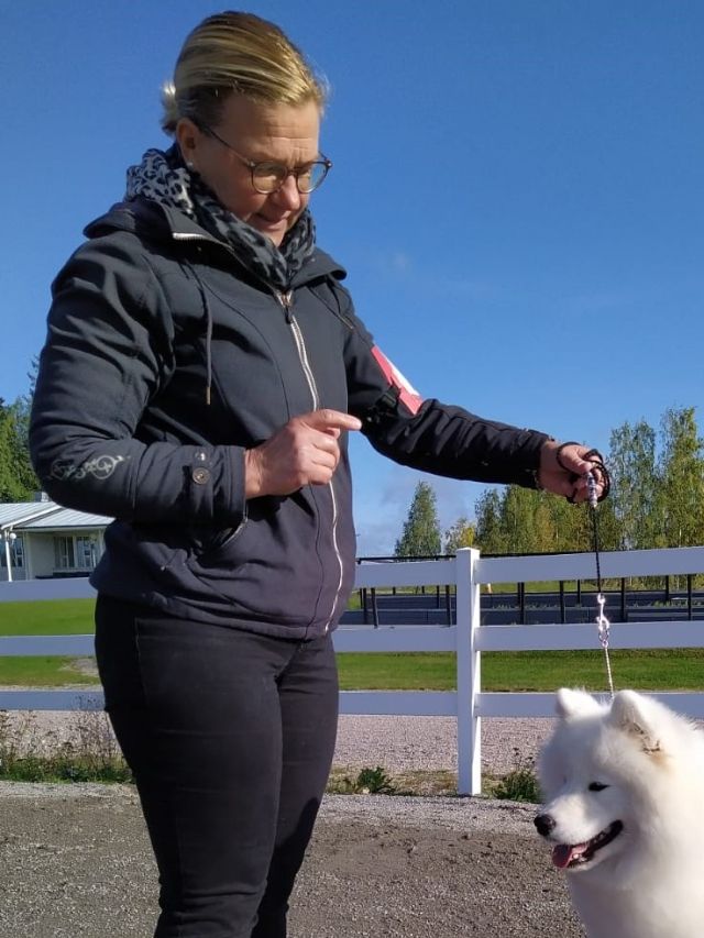 Jäähelmen Surprising Sweet Stella, Stella tuore muotovalio Lahdessa.