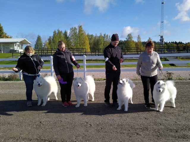 Jäähelmen kasvattajaryhmä ROP Lahdessa.
