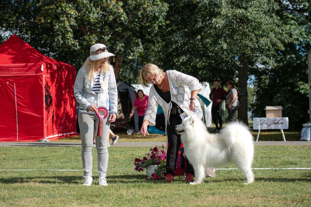 Jäähelmen Surprising Sweet Stella Hämeenlinnassa RYP1 ja BIS2. Kuva Diana Kortelahti.